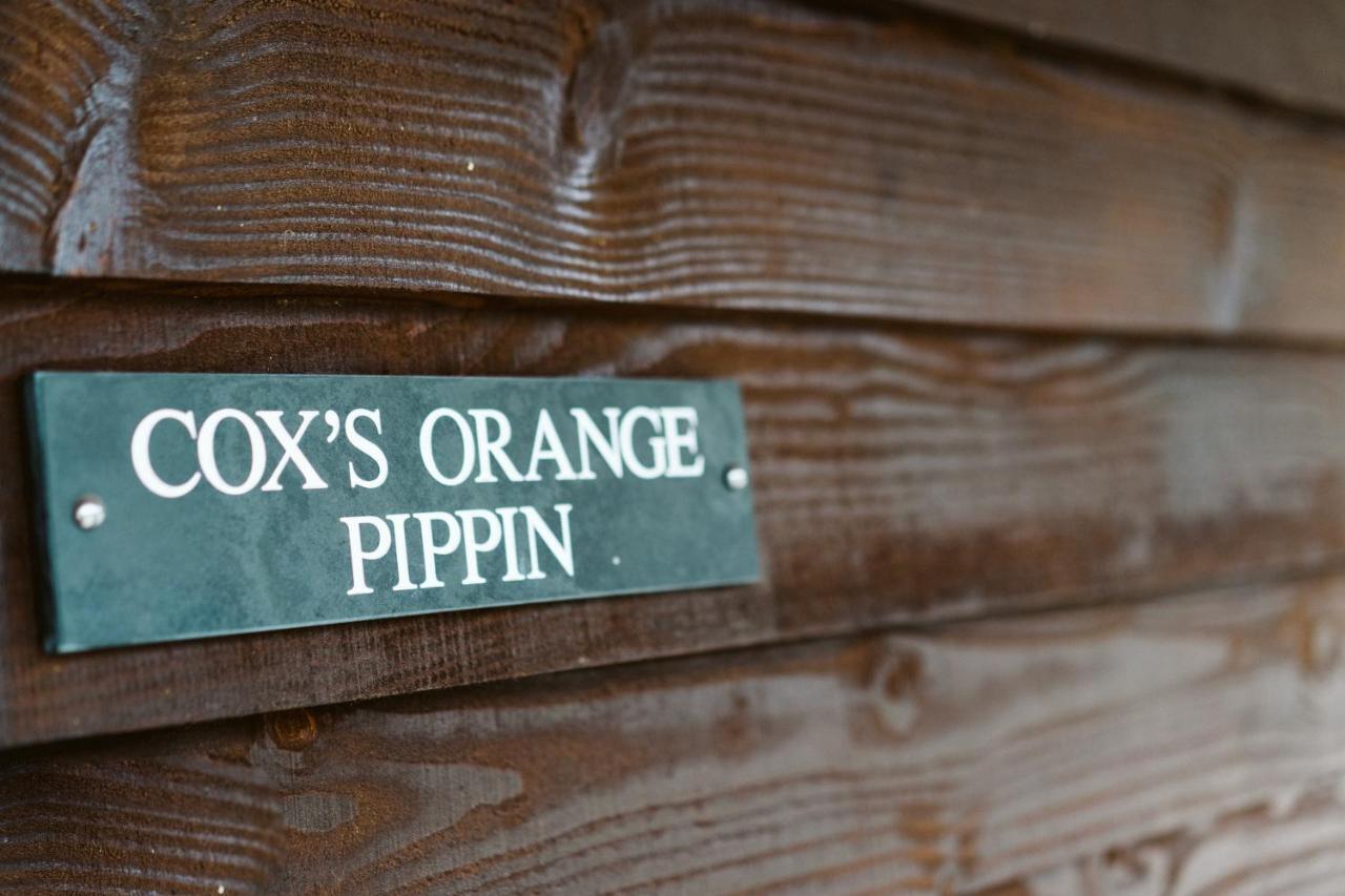 The Apple Rooms - Houghton Lodge ストックブリッジ エクステリア 写真